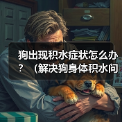 狗狗积水怎么办？这5个方法帮你解决