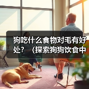 狗狗毛发健康吃什么?这14种食物帮你打造亮泽毛发 狗狗毛发健康吃什么?这14种食物帮你打造亮泽毛发