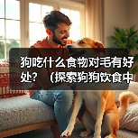狗狗毛发健康吃什么?这14种食物帮你打造亮泽毛发 狗狗毛发健康吃什么?这14种食物帮你打造亮泽毛发