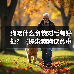 狗狗毛发健康吃什么?这14种食物帮你打造亮泽毛发 狗狗毛发健康吃什么?这14种食物帮你打造亮泽毛发