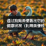 通过狗狗粪便看出它的健康状况(利用粪便检测法辨别狗狗身体疾病) 通过狗狗粪便看出它的健康状况(利用粪便检测法辨别狗狗身体疾病)
