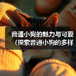 普通小狗的魅力与可爱(探索普通小狗的多样品种与特点) 普通小狗的魅力与可爱(探索普通小狗的多样品种与特点)