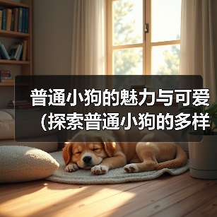 普通小狗的魅力与可爱(探索普通小狗的多样品种与特点) 普通小狗的魅力与可爱(探索普通小狗的多样品种与特点)