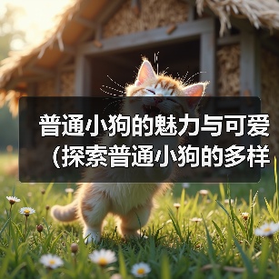 普通小狗的魅力与可爱(探索普通小狗的多样品种与特点) 普通小狗的魅力与可爱(探索普通小狗的多样品种与特点)