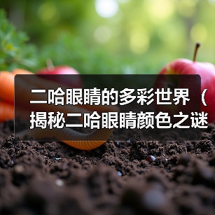 二哈眼睛的多彩世界(揭秘二哈眼睛颜色之谜) 二哈眼睛的多彩世界(揭秘二哈眼睛颜色之谜)
