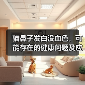 养护知识