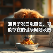 猫鼻子发白没血色,可能存在的健康问题及应对方法(探究猫鼻子发白没血色的原因和治疗方案) 猫鼻子发白没血色,可能存在的健康问题及应对方法(探究猫鼻子发白没血色的原因和治疗方案)