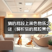 猫的屁股上黑色物质之谜(解析猫的屁股黑色物质的成因和意义) 猫的屁股上黑色物质之谜(解析猫的屁股黑色物质的成因和意义)