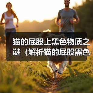 猫的屁股上黑色物质之谜(解析猫的屁股黑色物质的成因和意义) 猫的屁股上黑色物质之谜(解析猫的屁股黑色物质的成因和意义)