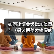 如何让博美犬增加体重?(探讨博美犬偏瘦的原因以及增肥的有效方法) 如何让博美犬增加体重?(探讨博美犬偏瘦的原因以及增肥的有效方法)