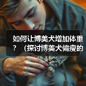 如何让博美犬增加体重?(探讨博美犬偏瘦的原因以及增肥的有效方法) 如何让博美犬增加体重?(探讨博美犬偏瘦的原因以及增肥的有效方法)