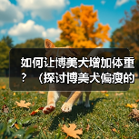 如何让博美犬增加体重?(探讨博美犬偏瘦的原因以及增肥的有效方法) 如何让博美犬增加体重?(探讨博美犬偏瘦的原因以及增肥的有效方法)
