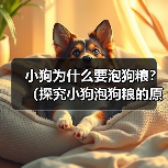 小狗为什么要泡狗粮?(探究小狗泡狗粮的原因及好处) 小狗为什么要泡狗粮?(探究小狗泡狗粮的原因及好处)