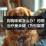狗狗咳嗽如何选药?不同类型药物效果全解析 狗狗咳嗽如何选药?不同类型药物效果全解析