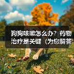 狗狗咳嗽如何选药?不同类型药物效果全解析 狗狗咳嗽如何选药?不同类型药物效果全解析