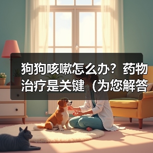 狗狗咳嗽如何选药?不同类型药物效果全解析 狗狗咳嗽如何选药?不同类型药物效果全解析