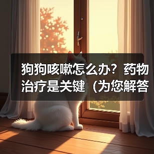 狗狗咳嗽如何选药?不同类型药物效果全解析 狗狗咳嗽如何选药?不同类型药物效果全解析