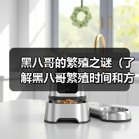 黑八哥繁殖时间与方式全解析:从求偶到幼鸟独立 黑八哥繁殖时间与方式全解析:从求偶到幼鸟独立