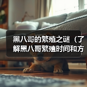 黑八哥繁殖时间与方式全解析:从求偶到幼鸟独立 黑八哥繁殖时间与方式全解析:从求偶到幼鸟独立