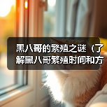 黑八哥繁殖时间与方式全解析:从求偶到幼鸟独立 黑八哥繁殖时间与方式全解析:从求偶到幼鸟独立