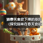猫咪春天不爱吃饭怎么办? 猫咪春天不爱吃饭怎么办?