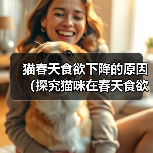 猫咪春天不爱吃饭怎么办? 猫咪春天不爱吃饭怎么办?
