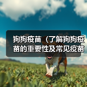 狗狗疫苗(了解狗狗疫苗的重要性及常见疫苗种类) 狗狗疫苗(了解狗狗疫苗的重要性及常见疫苗种类)
