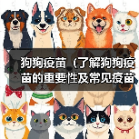 狗狗疫苗(了解狗狗疫苗的重要性及常见疫苗种类) 狗狗疫苗(了解狗狗疫苗的重要性及常见疫苗种类)