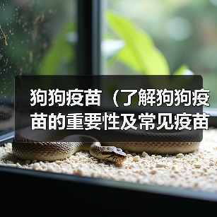 狗狗疫苗(了解狗狗疫苗的重要性及常见疫苗种类) 狗狗疫苗(了解狗狗疫苗的重要性及常见疫苗种类)
