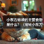 小东方螈蝾的主要食物是什么?(揭秘小东方螈蝾的饮食习性) 小东方螈蝾的主要食物是什么?(揭秘小东方螈蝾的饮食习性)