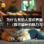 养猫魅力何在?揭秘15个养猫人群钟爱的原因 养猫魅力何在?揭秘15个养猫人群钟爱的原因