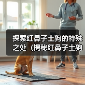 红鼻子土狗为何独树一帜?探索其独特魅力 红鼻子土狗为何独树一帜?探索其独特魅力