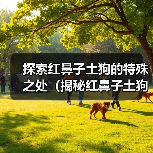 红鼻子土狗为何独树一帜?探索其独特魅力 红鼻子土狗为何独树一帜?探索其独特魅力