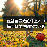红箭鱼饲料选择与饲养技巧全解析 红箭鱼饲料选择与饲养技巧全解析