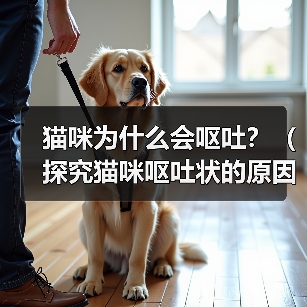 猫咪呕吐频繁?科学解析原因与应对方法 猫咪呕吐频繁?科学解析原因与应对方法