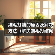 如何有效解决猫毛打结问题?5招让猫咪毛发顺滑 如何有效解决猫毛打结问题?5招让猫咪毛发顺滑
