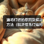 如何有效解决猫毛打结问题?5招让猫咪毛发顺滑 如何有效解决猫毛打结问题?5招让猫咪毛发顺滑