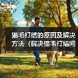 如何有效解决猫毛打结问题?5招让猫咪毛发顺滑 如何有效解决猫毛打结问题?5招让猫咪毛发顺滑
