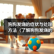 狗狗发烧了怎么办?这些症状你都了解吗 狗狗发烧了怎么办?这些症状你都了解吗