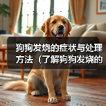 狗狗发烧了怎么办?这些症状你都了解吗 狗狗发烧了怎么办?这些症状你都了解吗