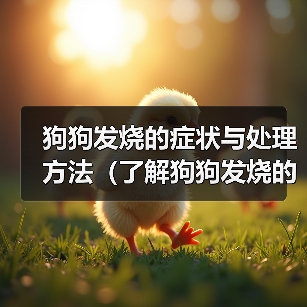 狗狗发烧了怎么办?这些症状你都了解吗 狗狗发烧了怎么办?这些症状你都了解吗