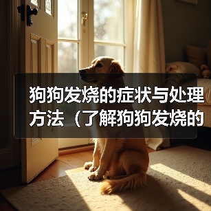 狗狗发烧了怎么办?这些症状你都了解吗 狗狗发烧了怎么办?这些症状你都了解吗