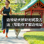 边牧幼犬断奶时间及方法(帮助你了解边牧幼犬断奶的最佳时机和正确方法) 边牧幼犬断奶时间及方法(帮助你了解边牧幼犬断奶的最佳时机和正确方法)