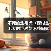 不纯的金毛犬(探讨金毛犬的纯种与不纯问题,了解如何辨别金毛的纯度) 不纯的金毛犬(探讨金毛犬的纯种与不纯问题,了解如何辨别金毛的纯度)