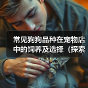 常见狗狗品种在宠物店中的饲养及选择(探索宠物店中多样的狗狗品种和选择技巧) 常见狗狗品种在宠物店中的饲养及选择(探索宠物店中多样的狗狗品种和选择技巧)