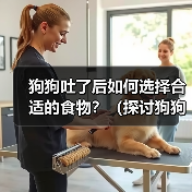 狗狗吐了后如何选择合适的食物?(探讨狗狗吐了后饮食调理的关键) 狗狗吐了后如何选择合适的食物?(探讨狗狗吐了后饮食调理的关键)