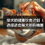 柴犬的健康饮食计划(选择适合柴犬的狗粮是关键) 柴犬的健康饮食计划(选择适合柴犬的狗粮是关键)