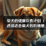 柴犬的健康饮食计划(选择适合柴犬的狗粮是关键) 柴犬的健康饮食计划(选择适合柴犬的狗粮是关键)