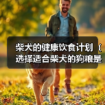 柴犬的健康饮食计划(选择适合柴犬的狗粮是关键) 柴犬的健康饮食计划(选择适合柴犬的狗粮是关键)