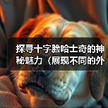 探寻十字脸哈士奇的神秘魅力(展现不同的外貌特征与个性特点) 探寻十字脸哈士奇的神秘魅力(展现不同的外貌特征与个性特点)